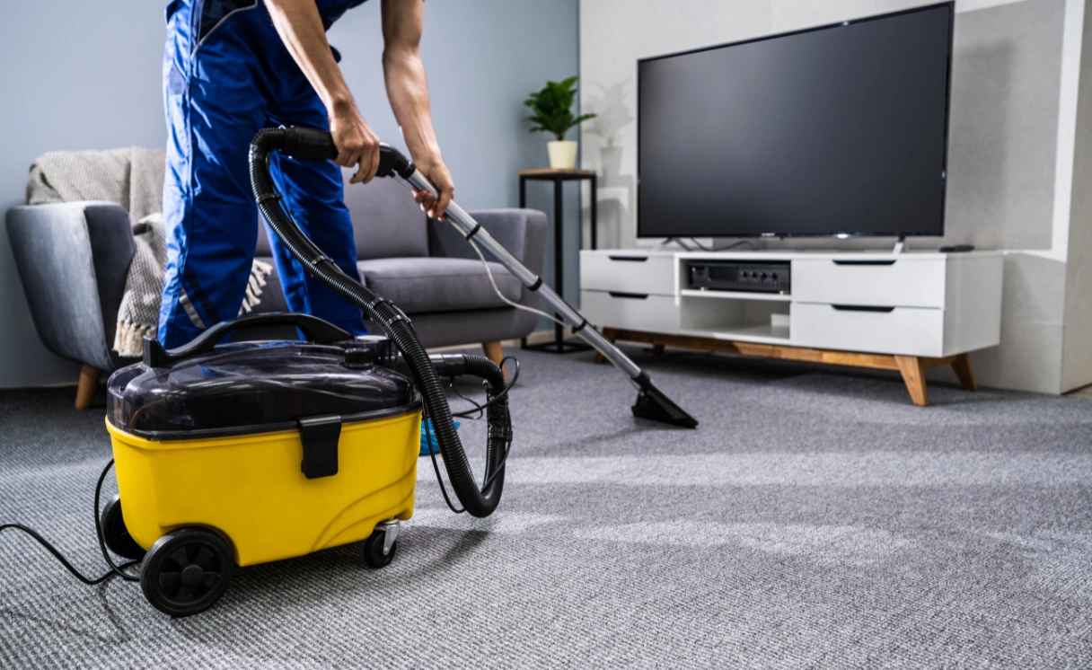 Extract Carpet Cleaning Toolangi Contact Office